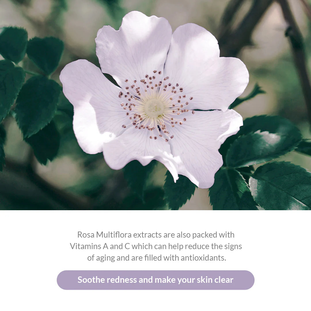 Dr. Althea Premium Rosa modeling Mask Set — product image 3