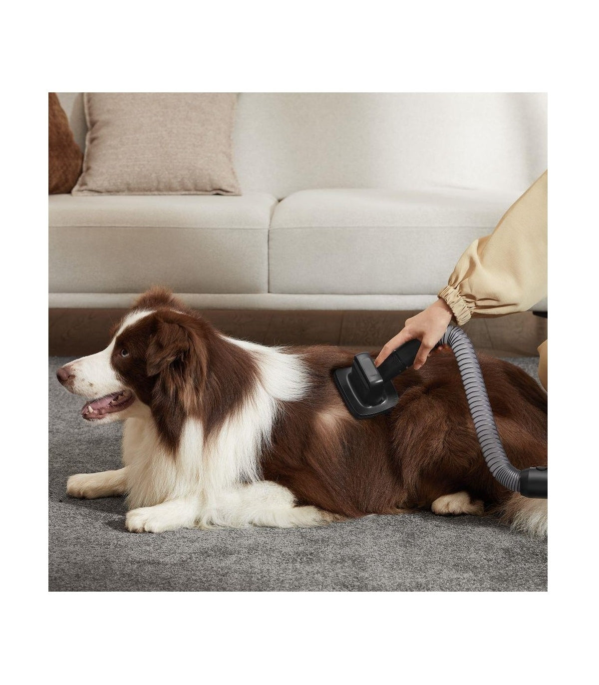 Dreame Z30 VZV17A Cordless Stick Vacuum — product and feature view 13