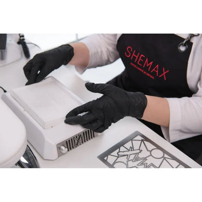 Filter for dust collector SheMax Style XS
