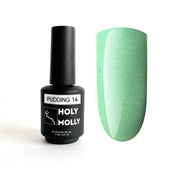 Gel Polish Holy Molly PUDDING 14 11 ml