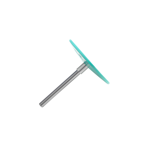 Plastic pedicure disc Pododisc Staleks Pro M (20 mm)
