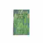 Skin1004 Madagaskar Centella Tea-Trica Relief Ampulle — Produktbild 5